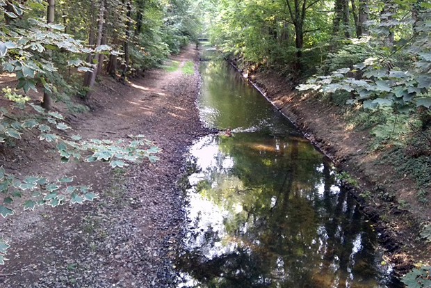 Rosental: Blick zur Parthe flussabwärtss in Richtung Nordwesten. Foto: AHA 