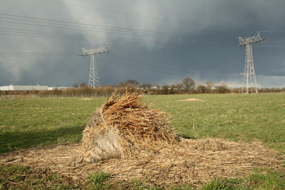 Stromtrasse im Leipziger Norden. Foto: Ralf Julke