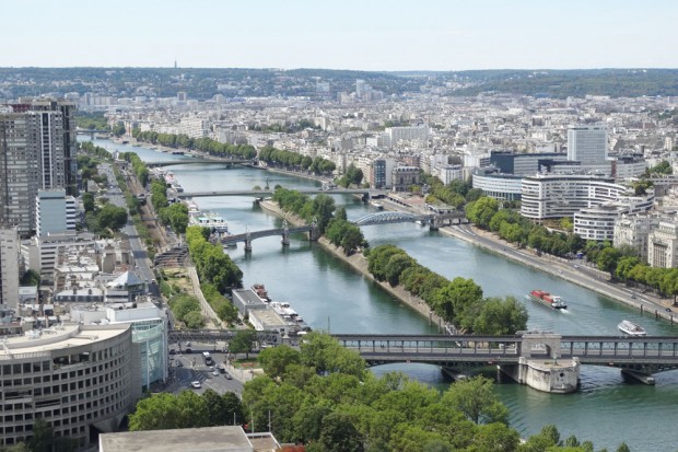 Die langgestreckte Ile aux Cygnes, die Schwaneninsel, vom Eiffelturm aus. Am hinteren Ende sieht man die Statue hervorlugen. Foto: Patrick Kulow