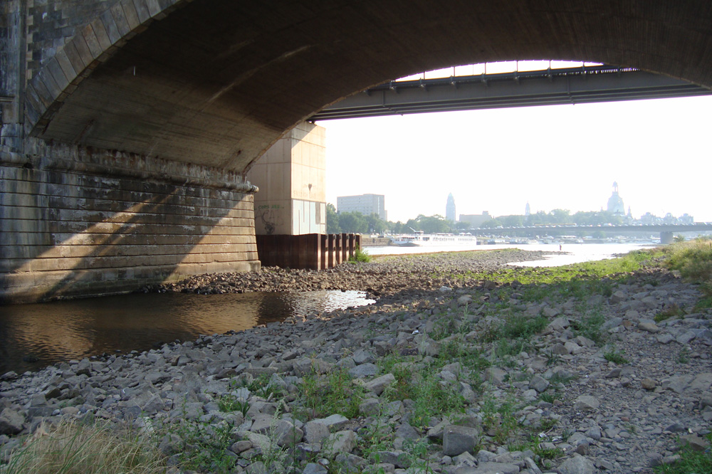 Die Elbe am 13. August 2015. Foto: GRÜNE Landtagsfraktion Sachsen