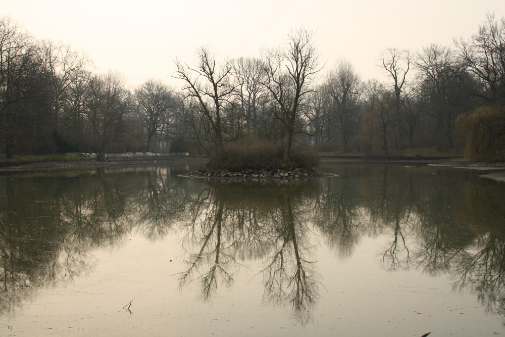 Inselteich im Clara-Zetkin-Park im trüben Winter 2014 / 2015. Foto: Ralf Julke