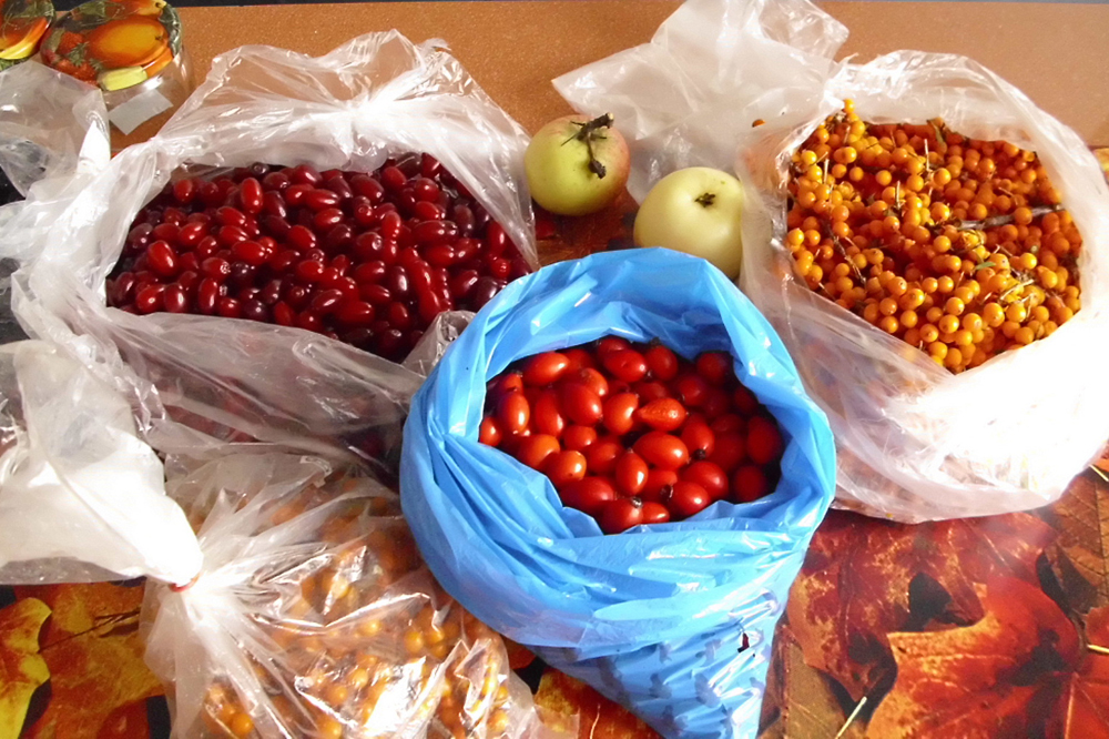 Marmeladenworkshop. Foto: Ökolöwe