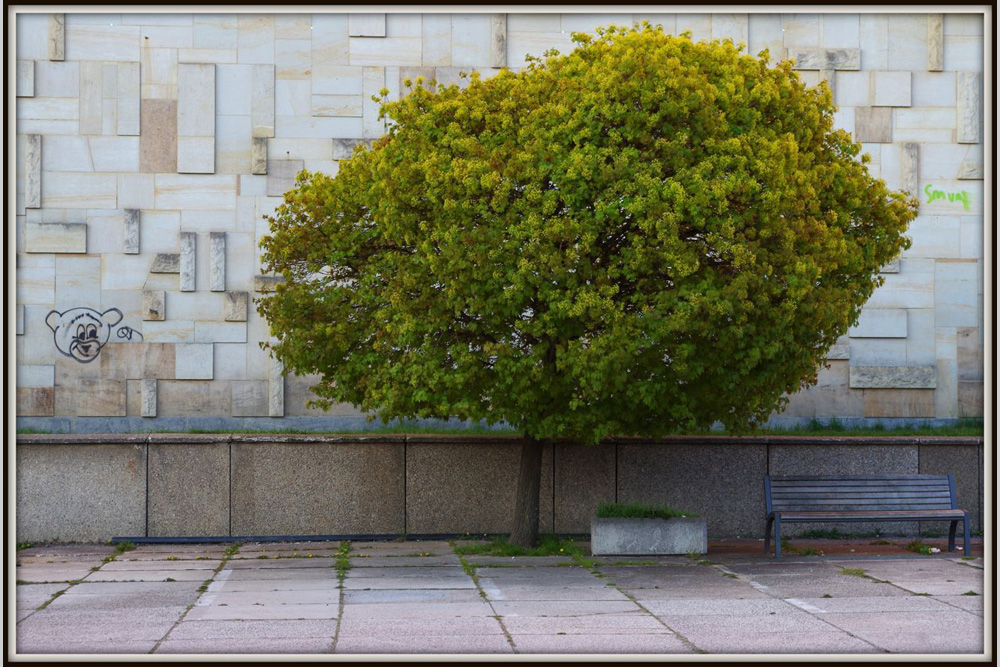 Ohne Titel. Foto: Roland Quester