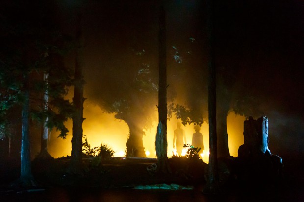 Lost in the forest. Foto: Rolf Arnold