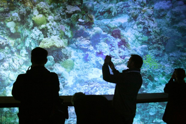 Wie fängt man Asisis großes Riff-Panorama mit einem kleinen Smartphone ein? Foto: Ralf Julke