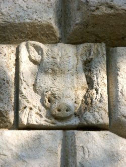 Wer genau hinsieht, entdeckt an den Rathaus-Fassaden und im Inneren einen zoologischen Garten in Muschelkalkstein und Marmor. Bei diesem Porträt kann es sich nur um ein Glücksschwein handeln. Foto: Karsten Pietsch