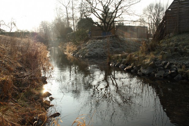 Die Kleine Pleiße an der Seenallee in Markkleeberg. Foto: Ralf Julke