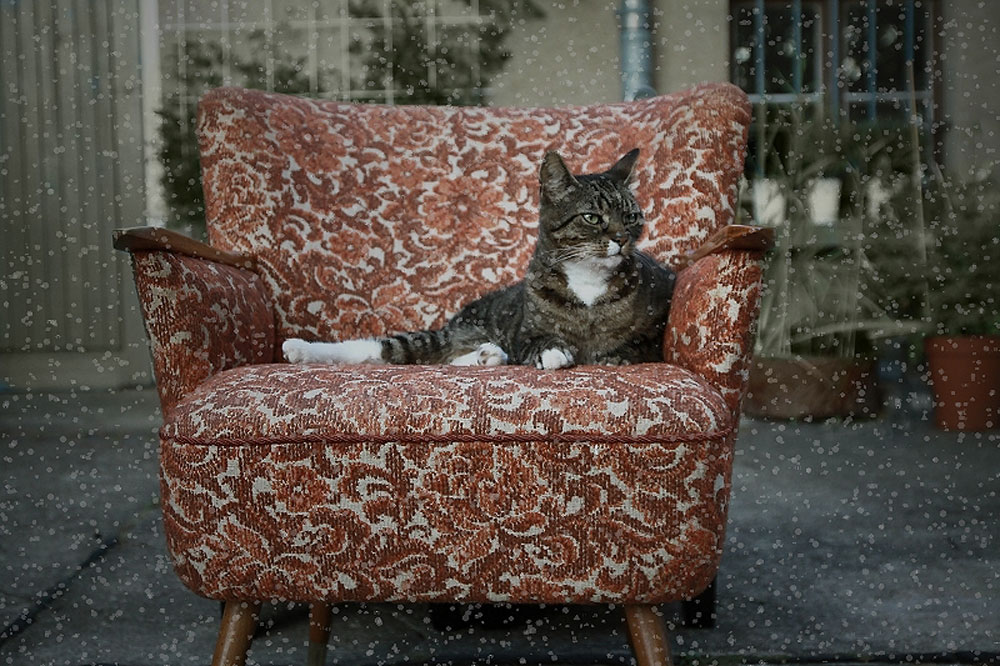 Foto: Marko Ehrhardt