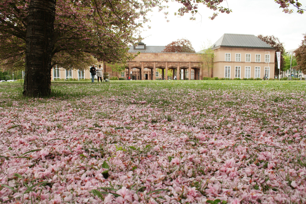 Der Johannisplatz im Frühjahr: Bis 1943 stand hier das Luther-Melanchthon-Denkmal. Foto: Ralf Julke