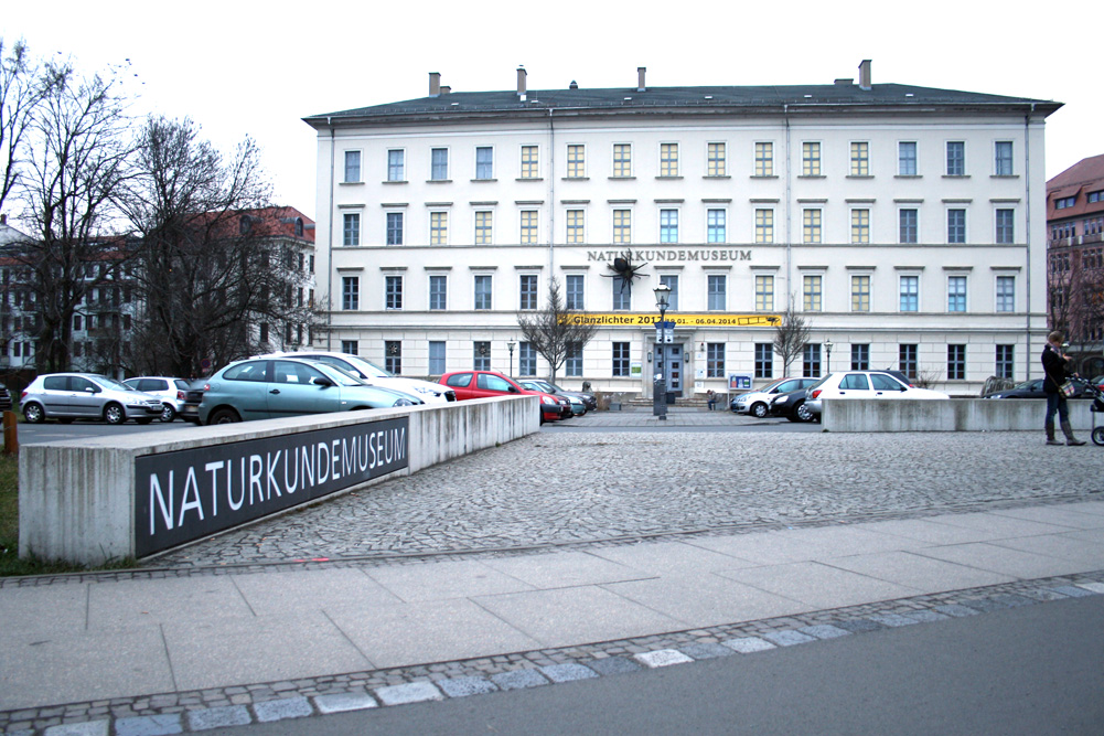 Das Leipziger Naturkundemuseum an der Lortzingstraße. Foto: Ralf Julke