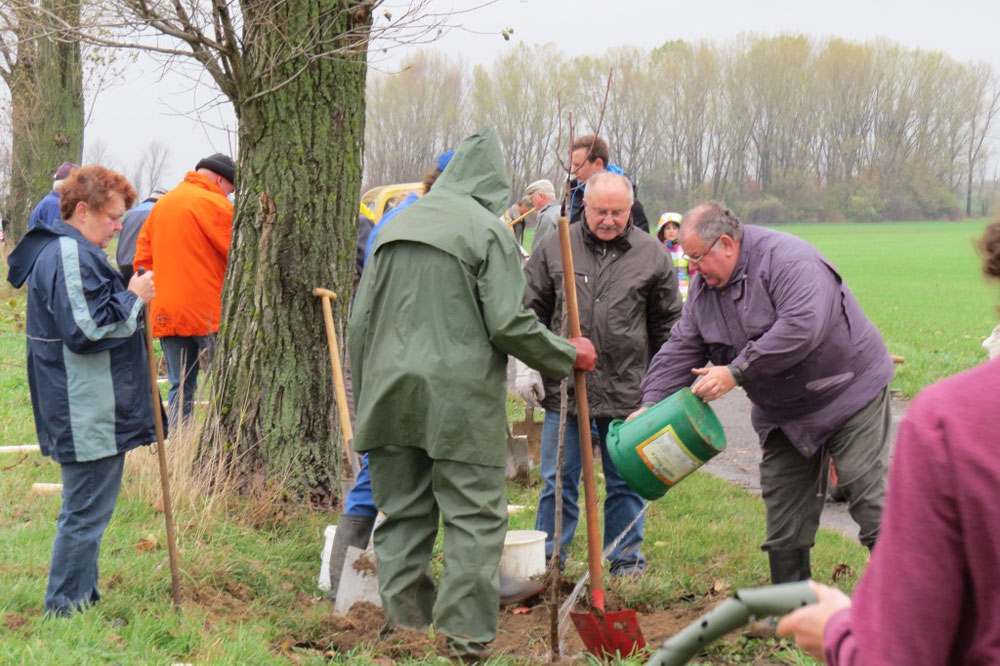 Bereits in den vergangenen Jahren fanden an gleicher Stelle Pflanzaktionen statt, die nun fortgesetzt werden sollen. Foto: Karsten Peterlein