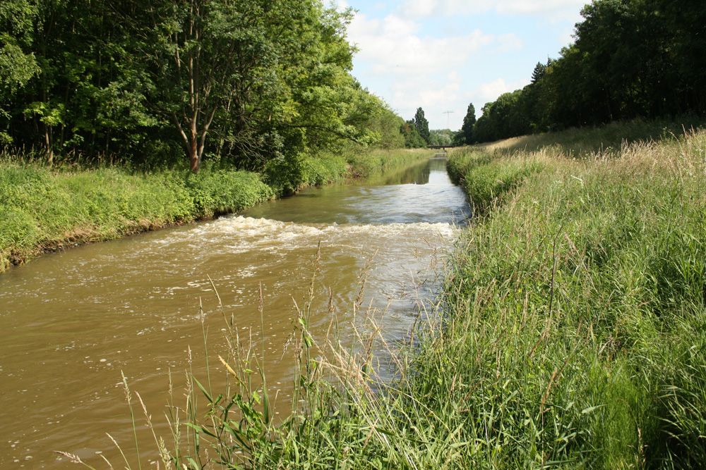 Pleiße mit Störstelle nahe Goethesteig. Foto: Ralf Julke