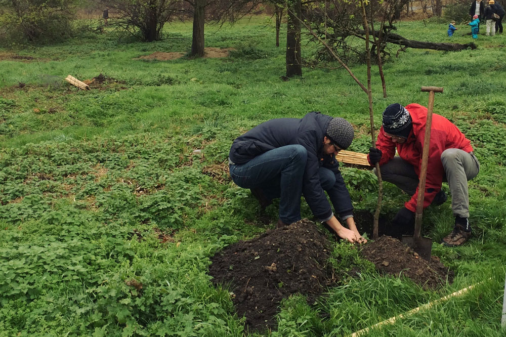 Mitmachen beim Streuobstwiesen wecken. Foto: Ökolöwe