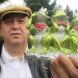 Klaus Richard Grün mit den drei berühmten A.. achja ... Fröschen. Foto: Ralf Julke