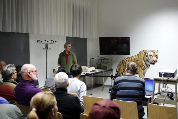 Fragen und Antworten zum Sibirischen Tiger. Foto: Alexander Böhm