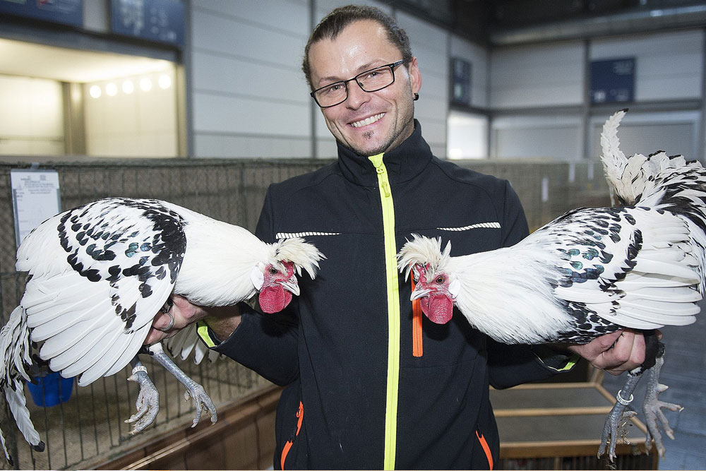 Thomas Martin (36) aus Nürnberg mit zwei Appenzeller Spitzhauben silber-schwarz getupft. Er ist seit 25 Jahren Züchter. Foto: Leipziger Messe/Zimmermann