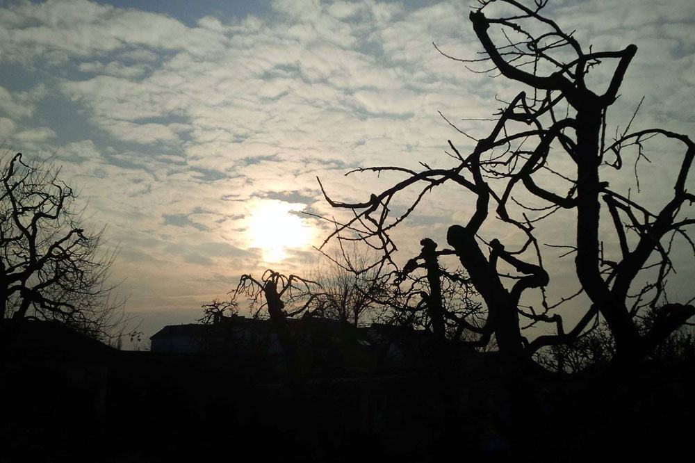 "Mors certa, hora incerta". Foto: L-IZ