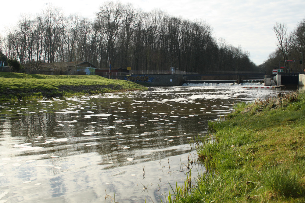 Die Pleiße am Connewitzer Wehr. Foto: Ralf Julke