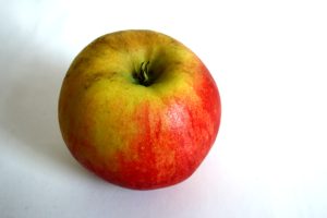 Diesen Apfel der ganzen Welt ... Foto: Ralf Julke