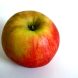 Diesen Apfel der ganzen Welt ... Foto: Ralf Julke