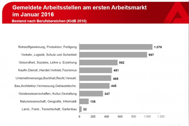 Welche Branchen bieten derzeit welche freien Stellen? Grafik: Arbeitsagentur Leipzig