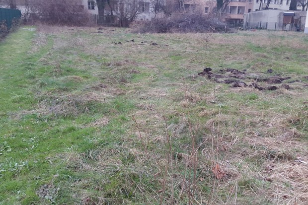 Nachher. Foto: BUND Leipzig