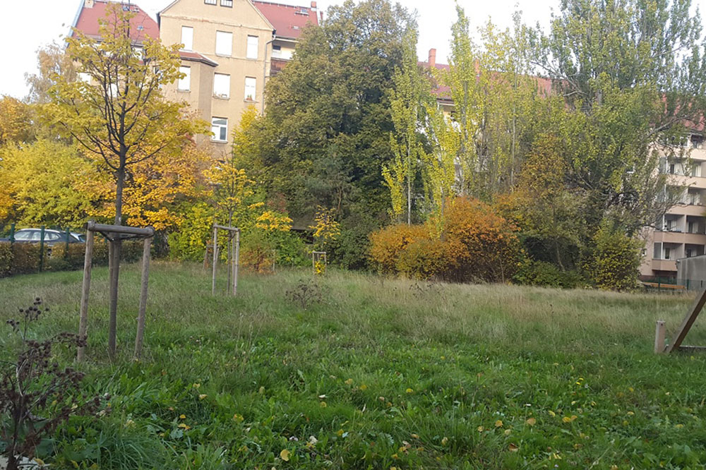 Vorher. Foto: BUND Leipzig