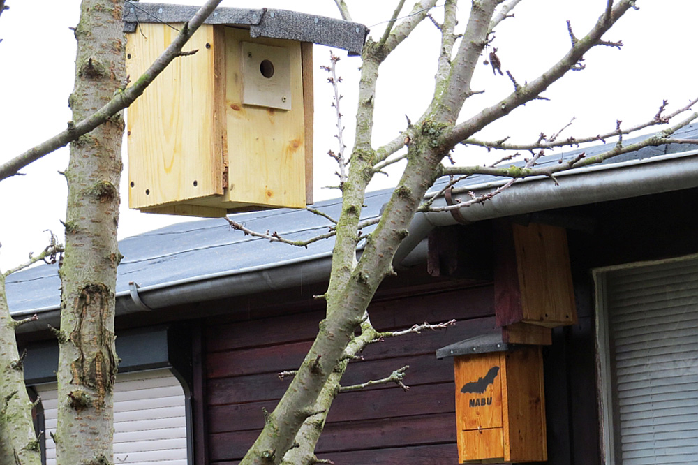 Gartenlaube mit Fledermauskasten und Vogelhäuschen. Foto: NABU Leipzig