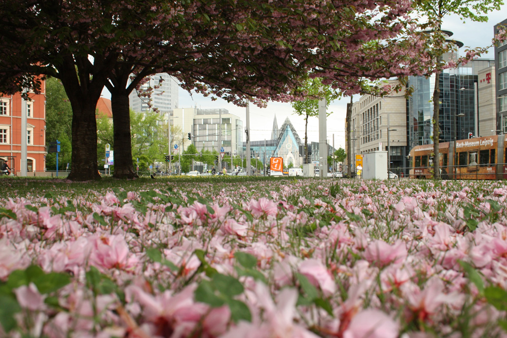 Die Installation für Leibniz sollte auf dem Johannisplatz stattfinden. Foto: Ralf Julke