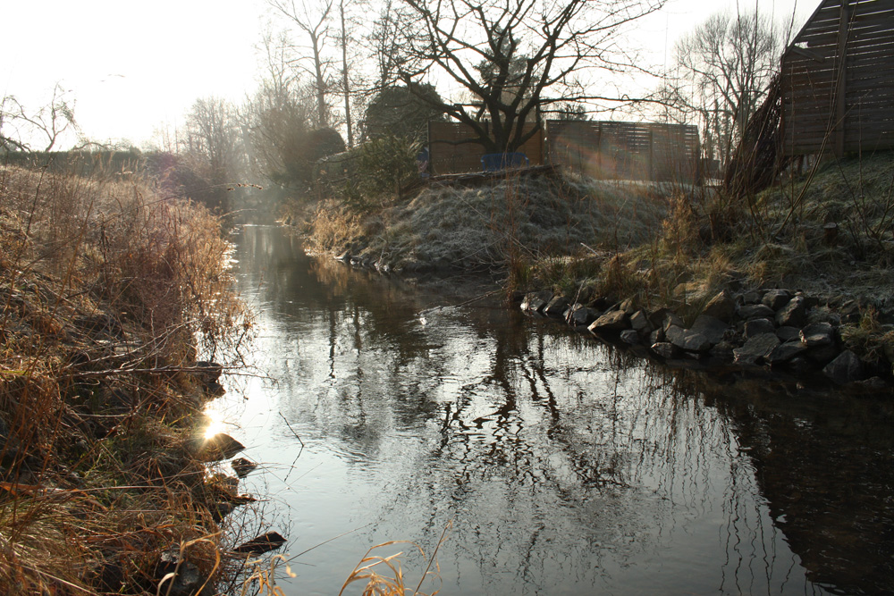 Die Mühlpleiße in Markkleeberg. Foto: Ralf Julke