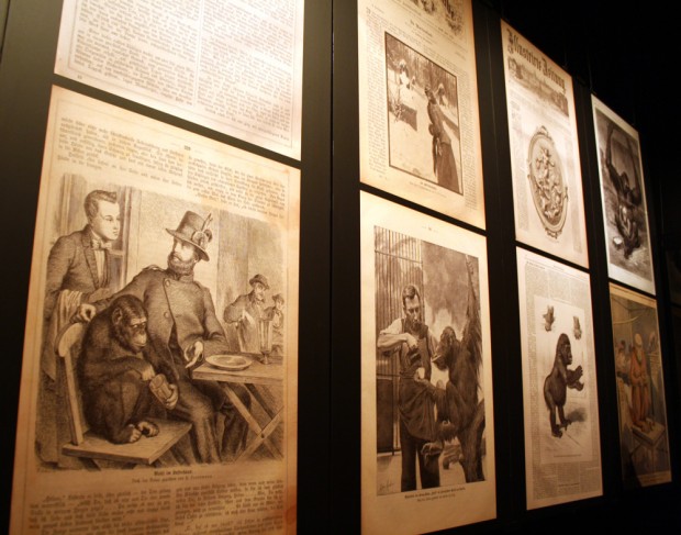 Sensation auch in den Publikumszeitschriften des 19. Jahrhundert - wie hier in der „Gartenlaube“ mit Alfred Brehm und seinem Schimpansen. Foto: Ralf Julke