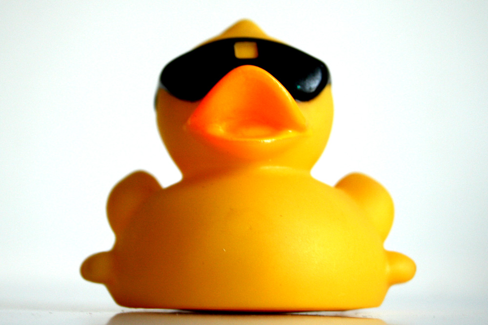 Manchmal hilft es schon, die Sonnenbrille abzusetzen. Foto: L-IZ