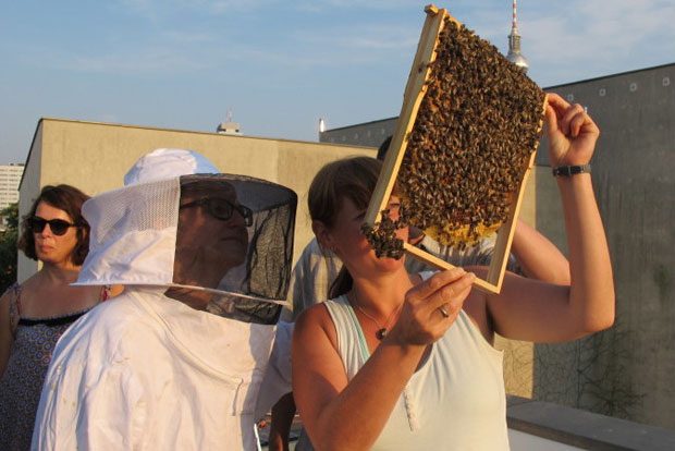 Foto: BienenBox