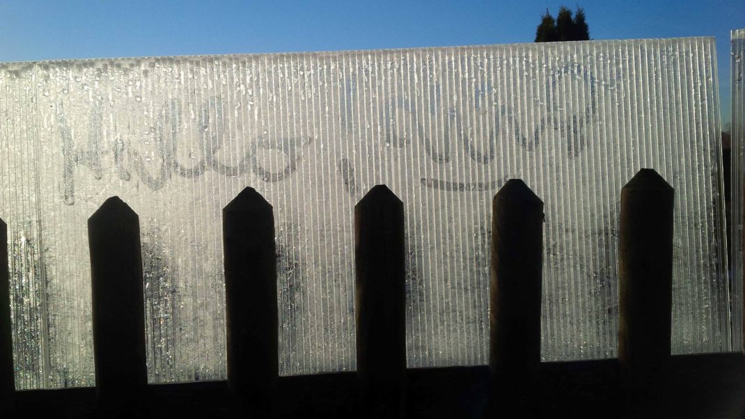 Der Mensch ist verständigungsinteressiert. Foto: Daniel Thalheim