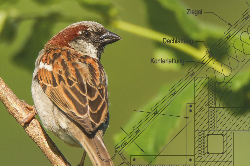 Titel der aktuellen Broschüre. Foto: NABU Leipzig