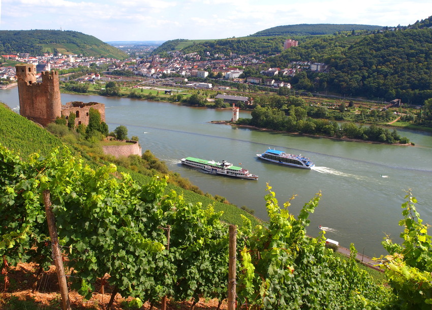 Burg Ehrenfels und Mäuseturm. Foto: Arbeitsgemeinschaft NostalgieZugReisen.de