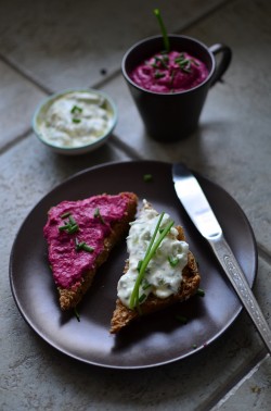 Rote-Bete-Creme und Traubenfrischkäse. Foto: Maike Klose