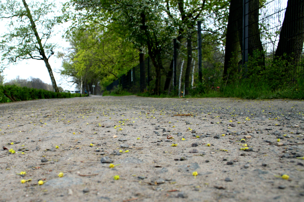 Abgefahren bis auf den blanken Schotter: Weg an der Rennbahn. Foto: Ralf Julke