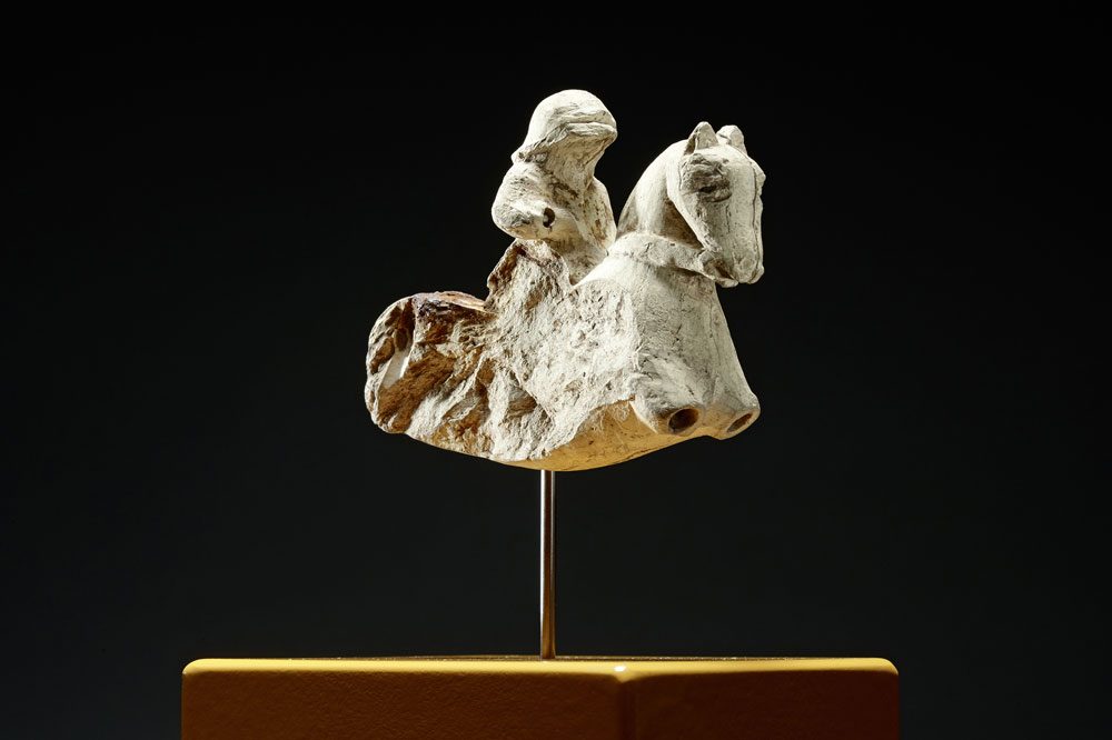 Tonpferdchen. Foto: Bertram Kober/Punctum