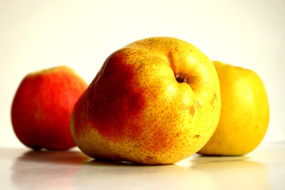 Manchmal ergeben die ausgewählten Produkte einfach einen hübschen Obstsalat. Foto: Ralf Julke