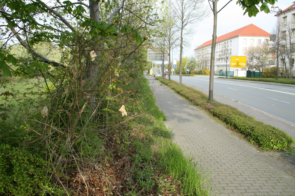 Die für das Polizeirevier Nord geplante Grünfläche (links) mit Blick zu den Gebäuden der Bereitschaftspolizei. Foto: Ralf Julke