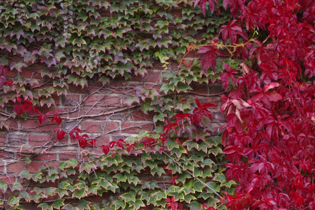 Foto: Ökolöwe - Umweltbund Leipzig e.V.