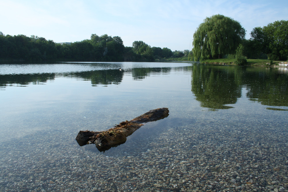 Das Naturbad Nordost in Thekla. Foto: Ralf Julke
