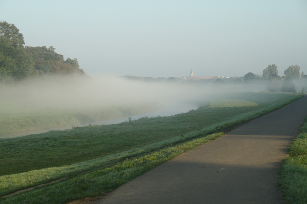 Neblige Aussichten in der Gewässerlandschaft. Foto: Ralf Julke