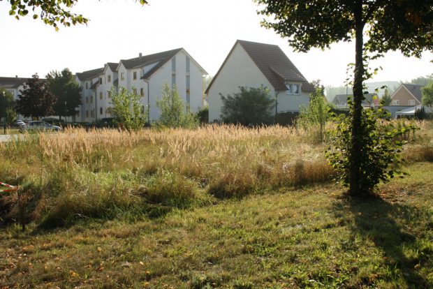 Ursprünglich wurde das Schönauer Viertel mit Geschosswohnungsbau begonnen. Foto: Ralf Julke