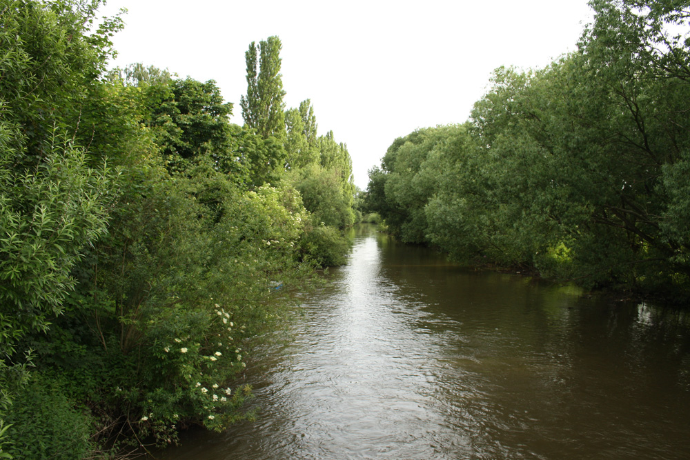 Weiße Elster bei Möckern. Foto: Ralf Julke