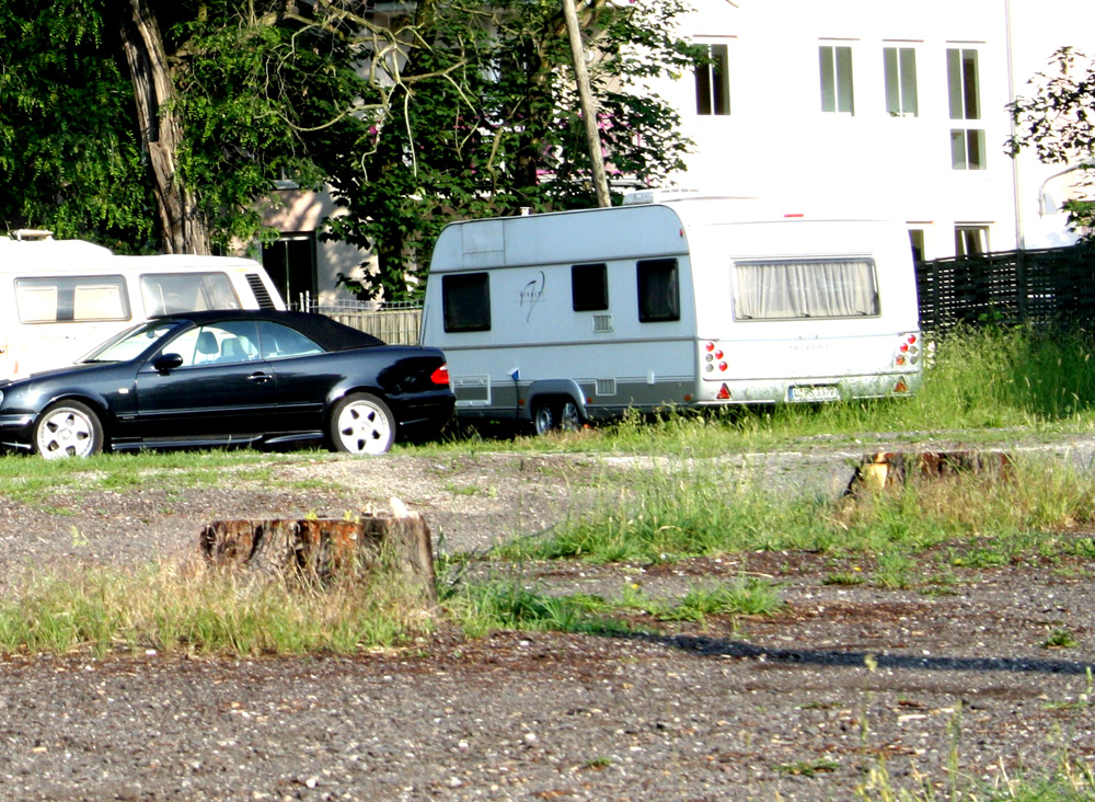 Auf der Nordseite des Felsenkellers wurde komplett alles gefällt. Foto: Ralf Julke