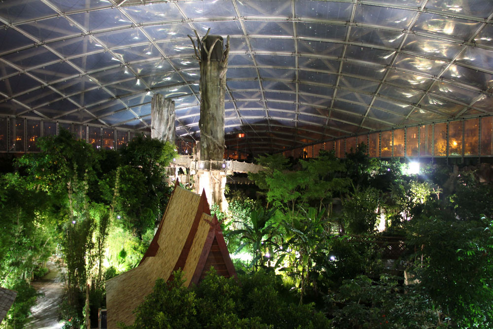 Gondwanaland bei Nacht. Foto: Zoo Leipzig