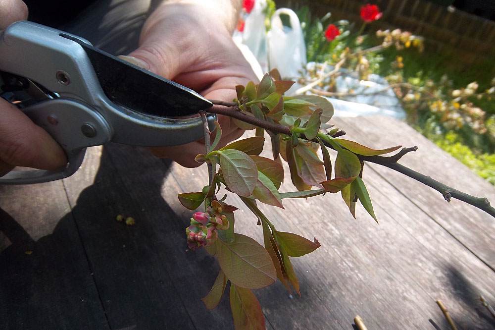 Foto: Daniela Dunger