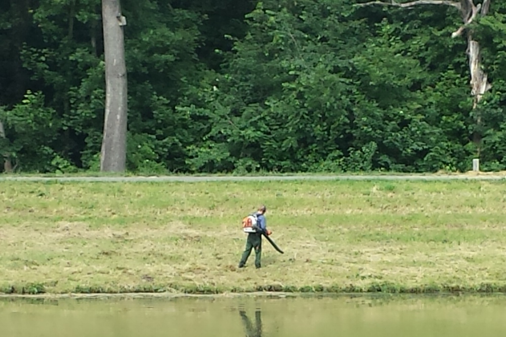 Mit dem Laubbläser am Ufer lang. Foto: Jörg Jauernig